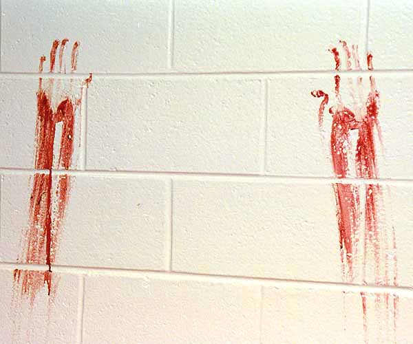 forensic blood wipe hand spatter pattern bloodstain patterns wiped serology example analysis baton